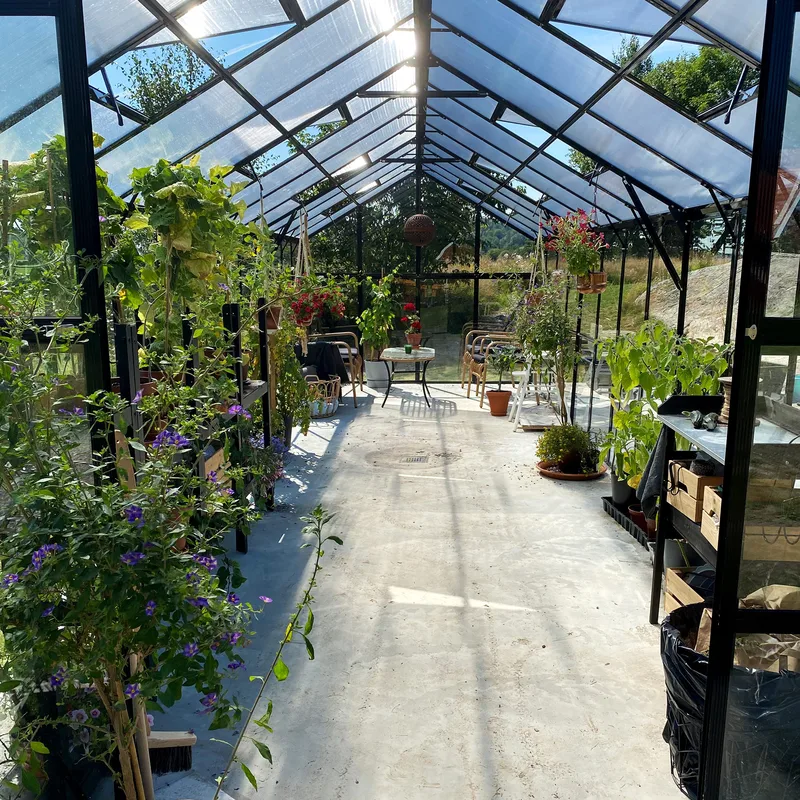 Glasväxthus 19m² | 5 års stormgaranti | 4mm säkerhetsglas | Svart - Trädgård & spabad - Trädgårdsskötsel - Växthus