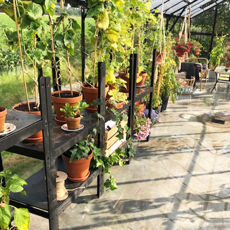 Glasväxthus 19m² | 5 års stormgaranti | 4mm säkerhetsglas | Svart - Trädgård & spabad - Trädgårdsskötsel - Växthus