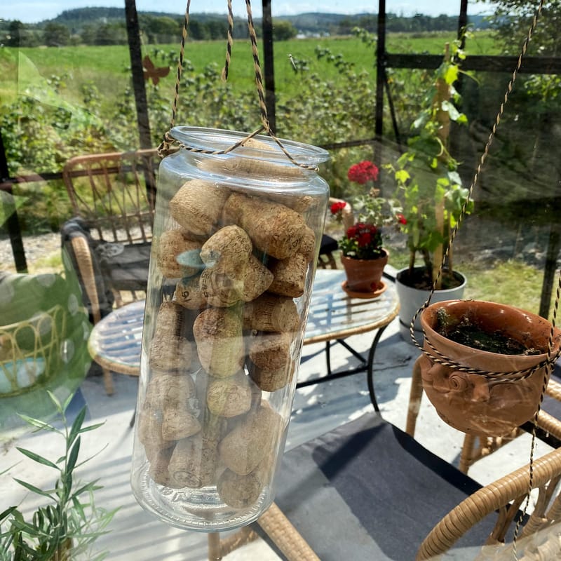 Glasväxthus 19m² | 5 års stormgaranti | 4mm säkerhetsglas | Svart - Trädgård & spabad - Trädgårdsskötsel - Växthus