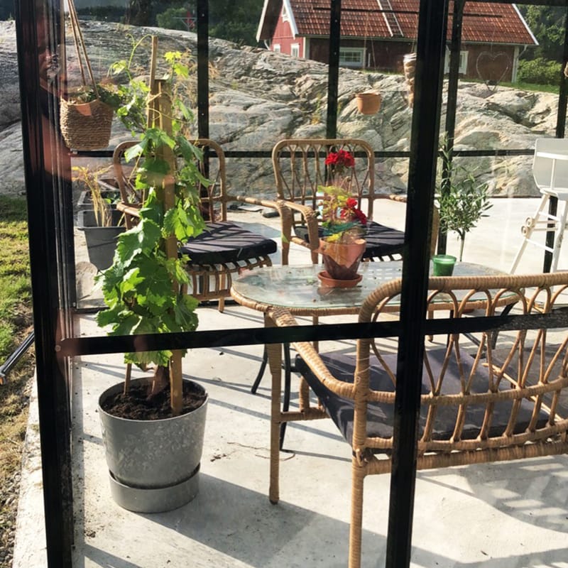 Glasväxthus 19m² | 5 års stormgaranti | 4mm säkerhetsglas | Svart - Trädgård & spabad - Trädgårdsskötsel - Växthus