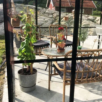 Glasväxthus 19m² | 5 års stormgaranti | 4mm säkerhetsglas | Svart - Trädgård & spabad - Trädgårdsskötsel - Växthus