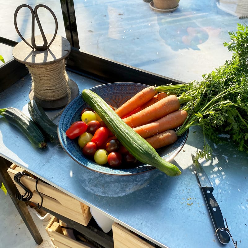 Glasväxthus 19m² | 5 års stormgaranti | 4mm säkerhetsglas | Svart - Trädgård & spabad - Trädgårdsskötsel - Växthus
