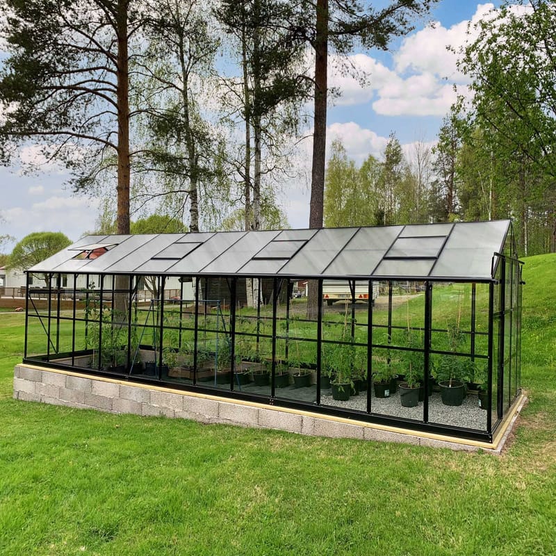 Glasväxthus 19m² | 5 års stormgaranti | 4mm säkerhetsglas | Svart - Trädgård & spabad - Trädgårdsskötsel - Växthus