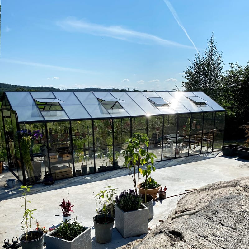 Glasväxthus 19m² | 5 års stormgaranti | 4mm säkerhetsglas | Svart - Trädgård & spabad - Trädgårdsskötsel - Växthus