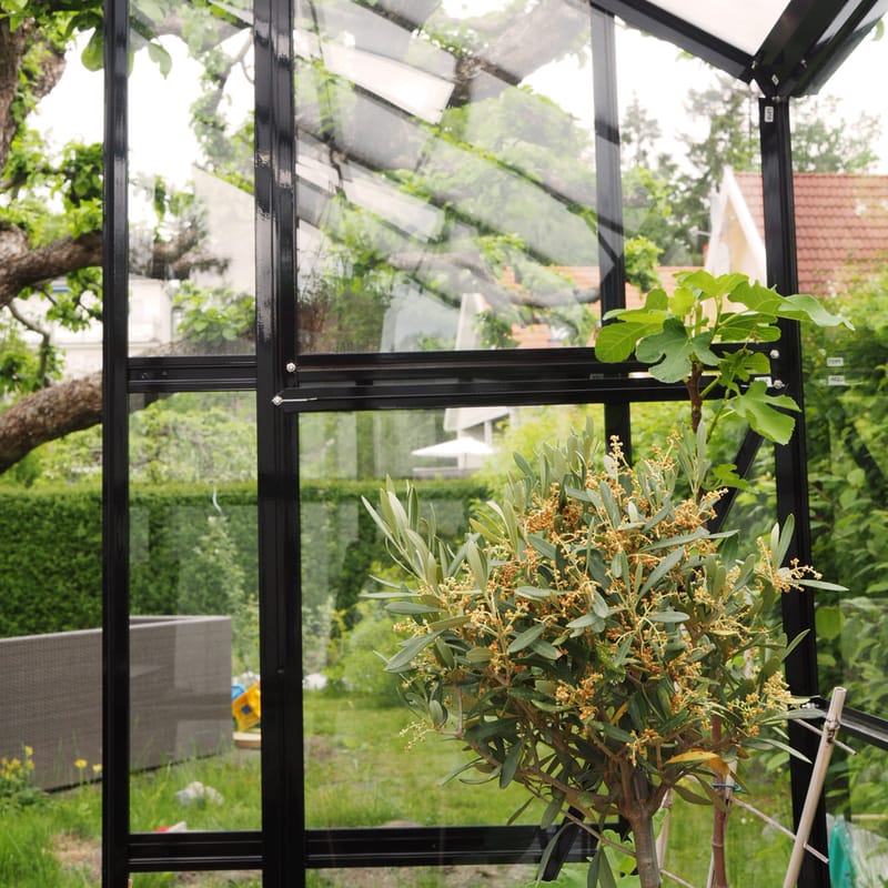 Glasväxthus 8,0m² | 5 års stormgaranti | 4mm säkerhetsglas | Svart - Trädgård & spabad - Trädgårdsskötsel - Växthus