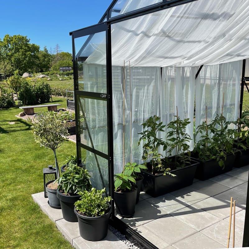 Glasväxthus 8,0m² | 5 års stormgaranti | 4mm säkerhetsglas | Svart - Trädgård & spabad - Trädgårdsskötsel - Växthus