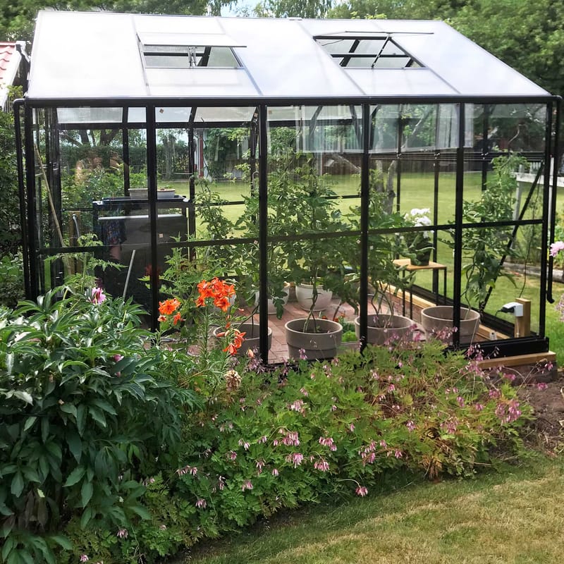 Glasväxthus 8,0m² | 5 års stormgaranti | 4mm säkerhetsglas | Svart - Trädgård & spabad - Trädgårdsskötsel - Växthus