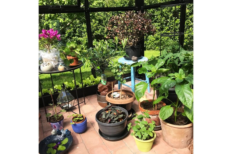 Marvell Växthus 8,7m² - Antracit - Trädgård & spabad - Trädgårdsskötsel - Växthus