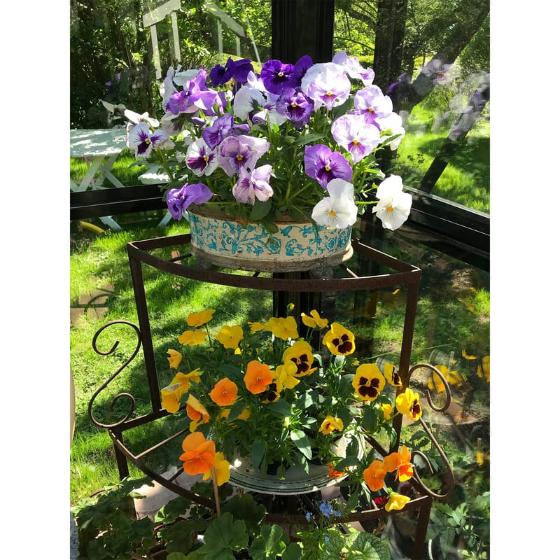 Marvell Växthus 8,7m² - Antracit - Trädgård & spabad - Trädgårdsskötsel - Växthus