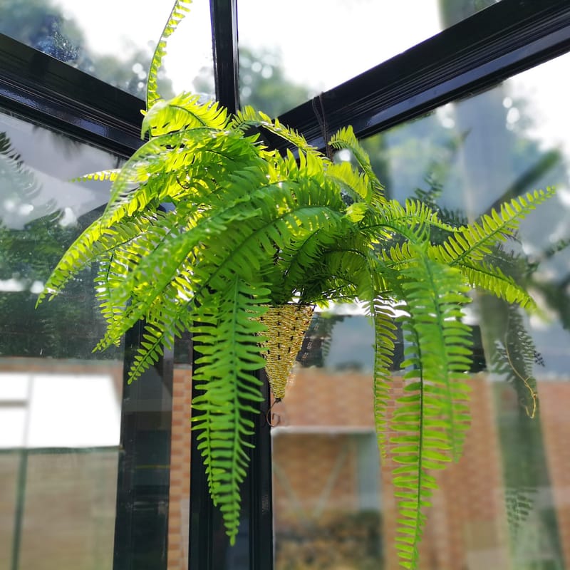 Marvell Växthus 8,7m² - Antracit - Trädgård & spabad - Trädgårdsskötsel - Växthus