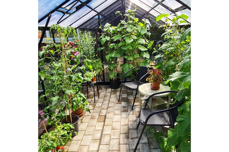 Marvell Växthus 9,6m² - Antracit - Växthus - Fristående växthus