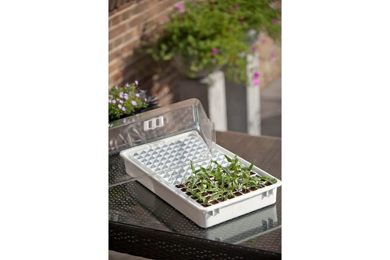 Nature Minidrivhus set 55x31x22 cm 6020203 - Trädgård & spabad - Trädgårdsskötsel - Växthus