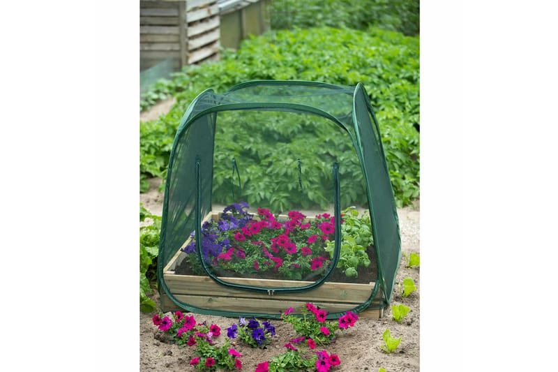 Nature Växthus pop-up 100x100x100 cm 6020409 - Grön - Trädgård & spabad - Trädgårdsskötsel - Växthus