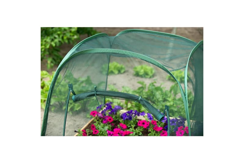 Nature Växthus pop-up 100x100x100 cm 6020409 - Grön - Trädgård & spabad - Trädgårdsskötsel - Växthus