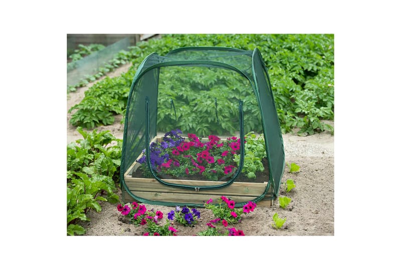 Nature Växthus pop-up 100x100x100 cm 6020409 - Grön - Trädgård & spabad - Trädgårdsskötsel - Växthus