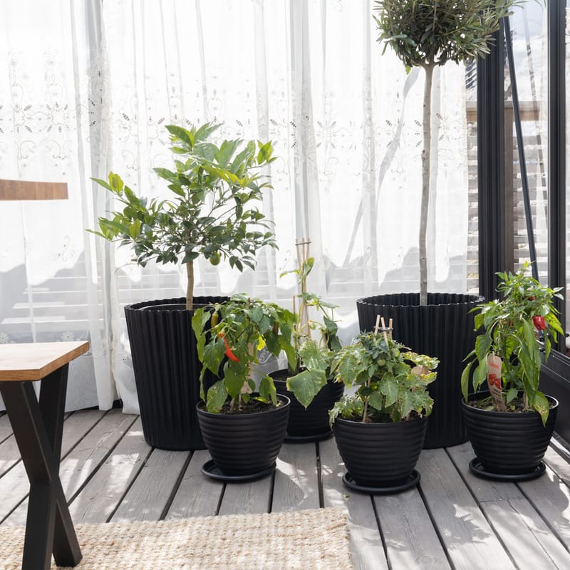 Orangeri och uterum 19,2m² - Svart - Trädgård & spabad - Trädgårdsskötsel - Växthus