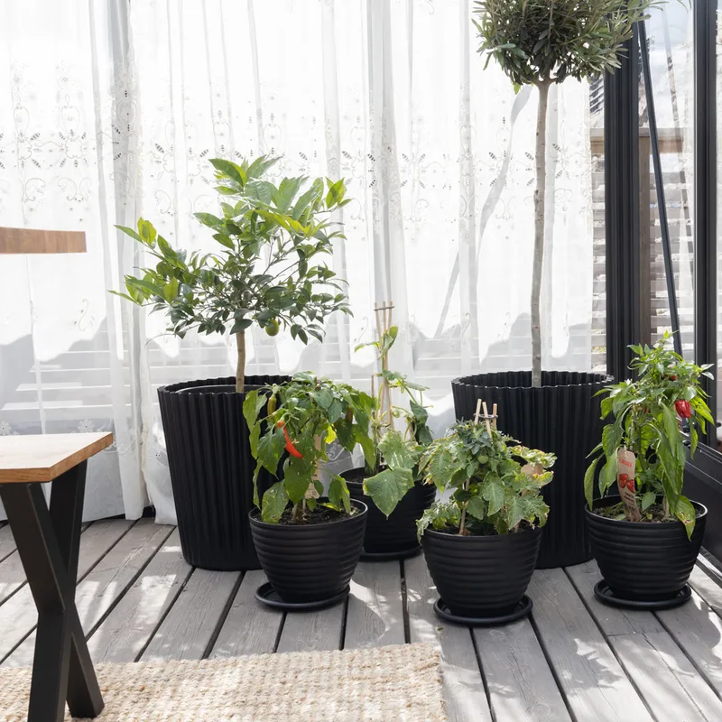 Orangeri och uterum 19,2m² - Svart - Trädgård & spabad - Trädgårdsskötsel - Växthus