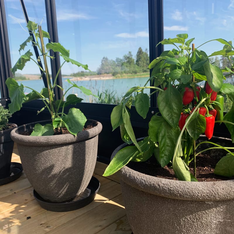 Orangeri och uterum 19,2m² - Svart - Trädgård & spabad - Trädgårdsskötsel - Växthus