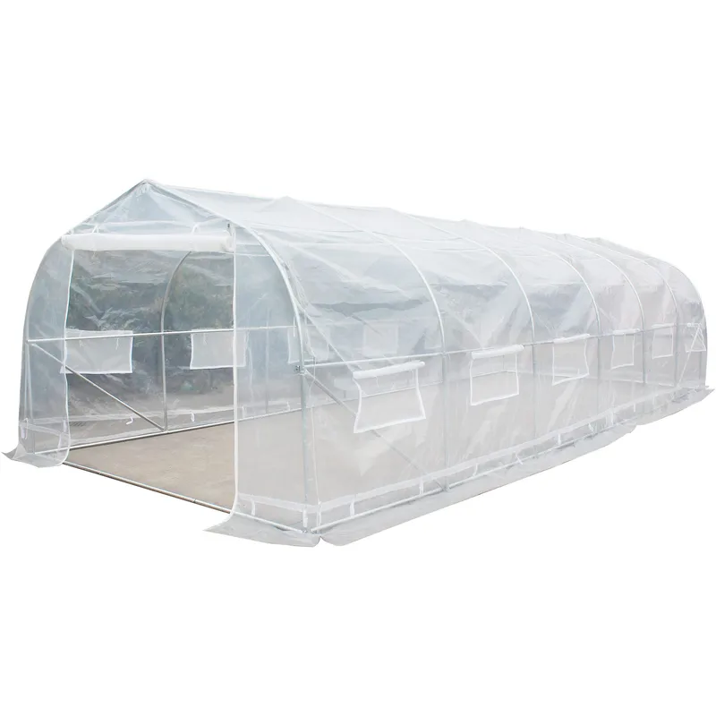 Tunnelväxthus 24m² | Stålram med transparent PE-plastöverdrag, undefined