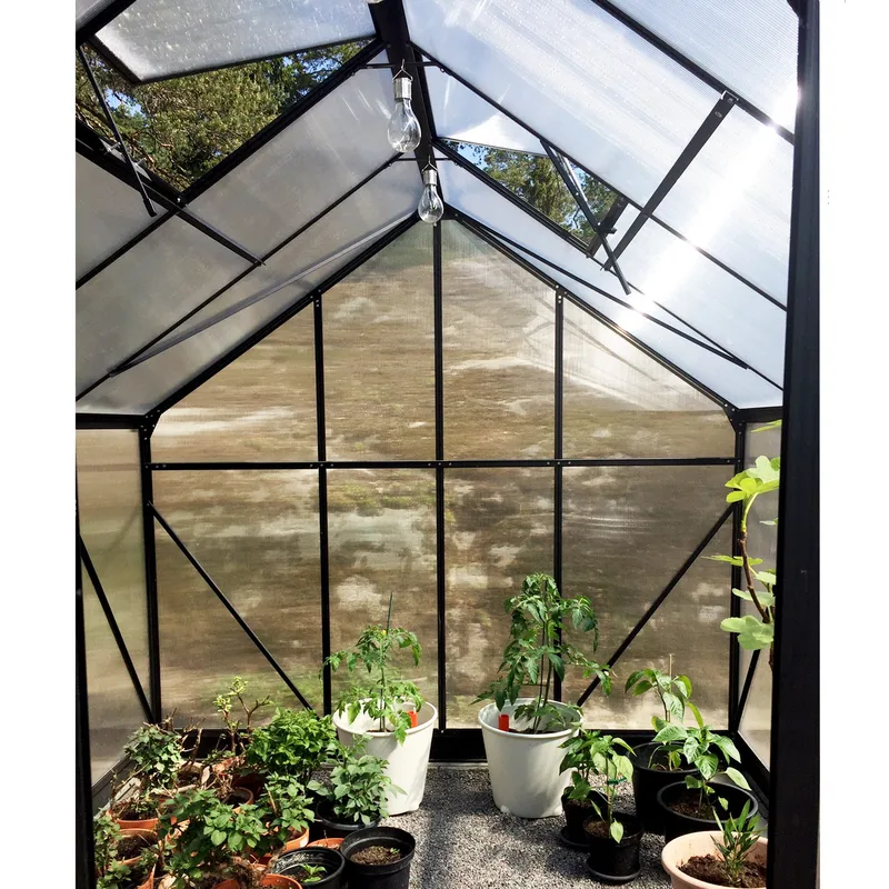 Växthus 10,7m² | 6mm kanalplast | Hög odlingshöjd | Svart - Trädgård & spabad - Trädgårdsskötsel - Växthus