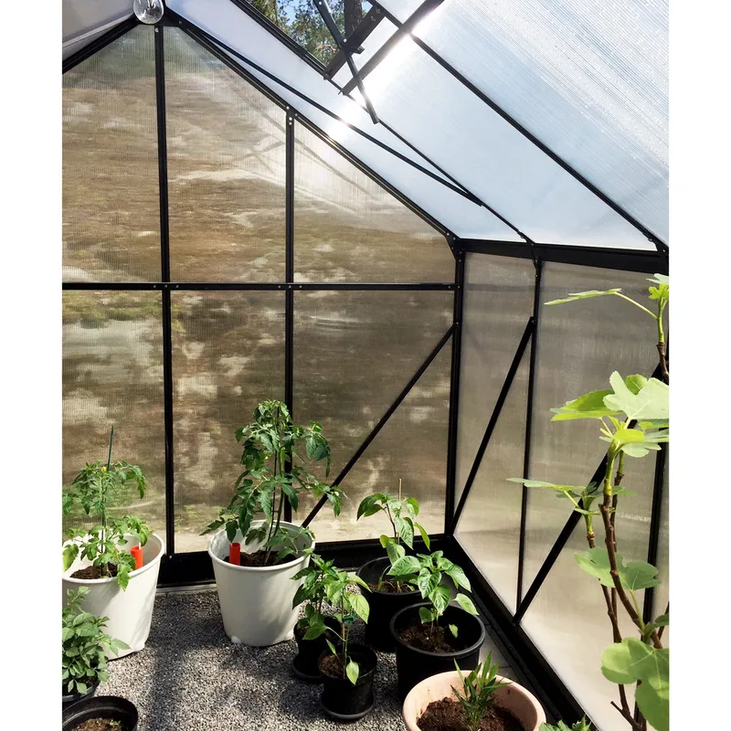 Växthus 10,7m² | 6mm kanalplast | Hög odlingshöjd | Svart - Trädgård & spabad - Trädgårdsskötsel - Växthus