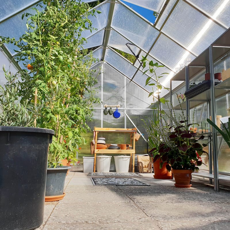Växthus 12,4m² | Extra hög odlingshöjd | 6mm kanalplast - Trädgård & spabad - Trädgårdsskötsel - Växthus