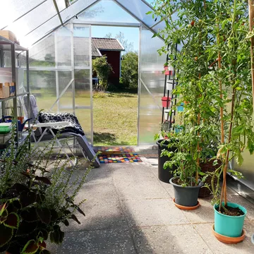 Växthus 12,4m² | Extra hög odlingshöjd | 6mm kanalplast - Trädgård & spabad - Trädgårdsskötsel - Växthus