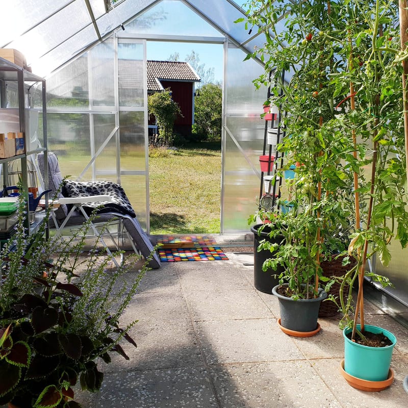 Växthus 12,4m² | Extra hög odlingshöjd | 6mm kanalplast - Trädgård & spabad - Trädgårdsskötsel - Växthus