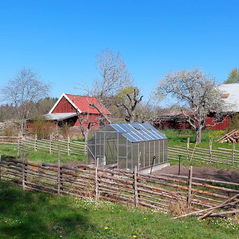 Växthus 12,4m² | Extra hög odlingshöjd | 6mm kanalplast - Trädgård & spabad - Trädgårdsskötsel - Växthus