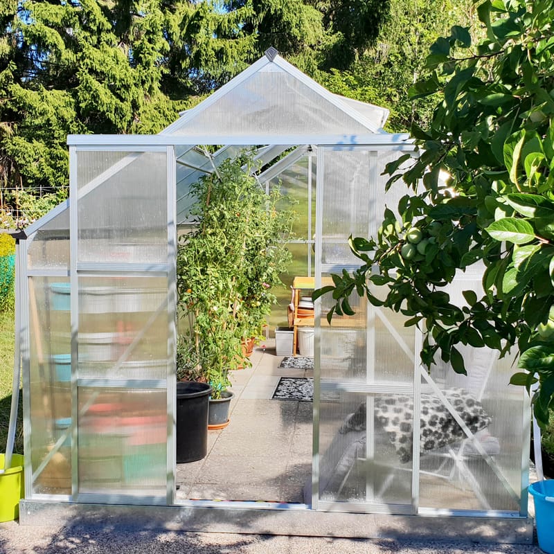 Växthus 12,4m² | Extra hög odlingshöjd | 6mm kanalplast - Trädgård & spabad - Trädgårdsskötsel - Växthus