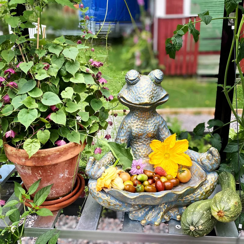 Växthus 12,7m² | 5 års stormgaranti | 4mm säkerhetsglas | Svart - Trädgård & spabad - Trädgårdsskötsel - Växthus