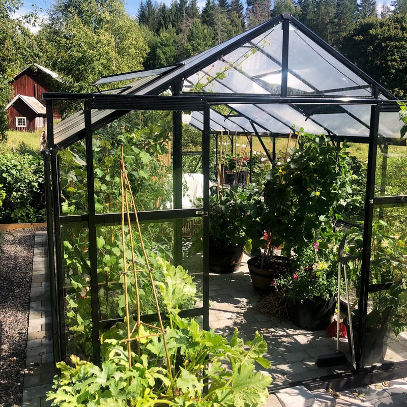 Växthus 12,7m² | 5 års stormgaranti | 4mm säkerhetsglas | Svart - Trädgård & spabad - Trädgårdsskötsel - Växthus