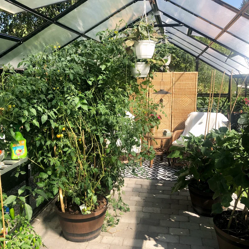 Växthus 12,7m² | 5 års stormgaranti | 4mm säkerhetsglas | Svart - Trädgård & spabad - Trädgårdsskötsel - Växthus