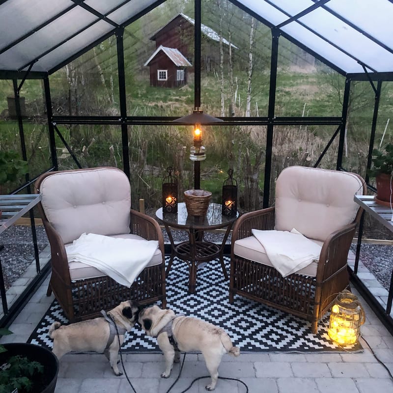 Växthus 12,7m² | 5 års stormgaranti | 4mm säkerhetsglas | Svart - Trädgård & spabad - Trädgårdsskötsel - Växthus