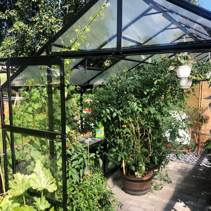 Växthus 12,7m² | 5 års stormgaranti | 4mm säkerhetsglas | Svart - Trädgård & spabad - Trädgårdsskötsel - Växthus