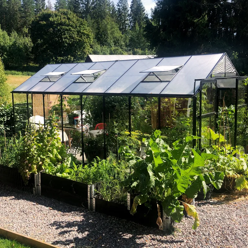 Växthus 12,7m² | 5 års stormgaranti | 4mm säkerhetsglas | Svart - Trädgård & spabad - Trädgårdsskötsel - Växthus