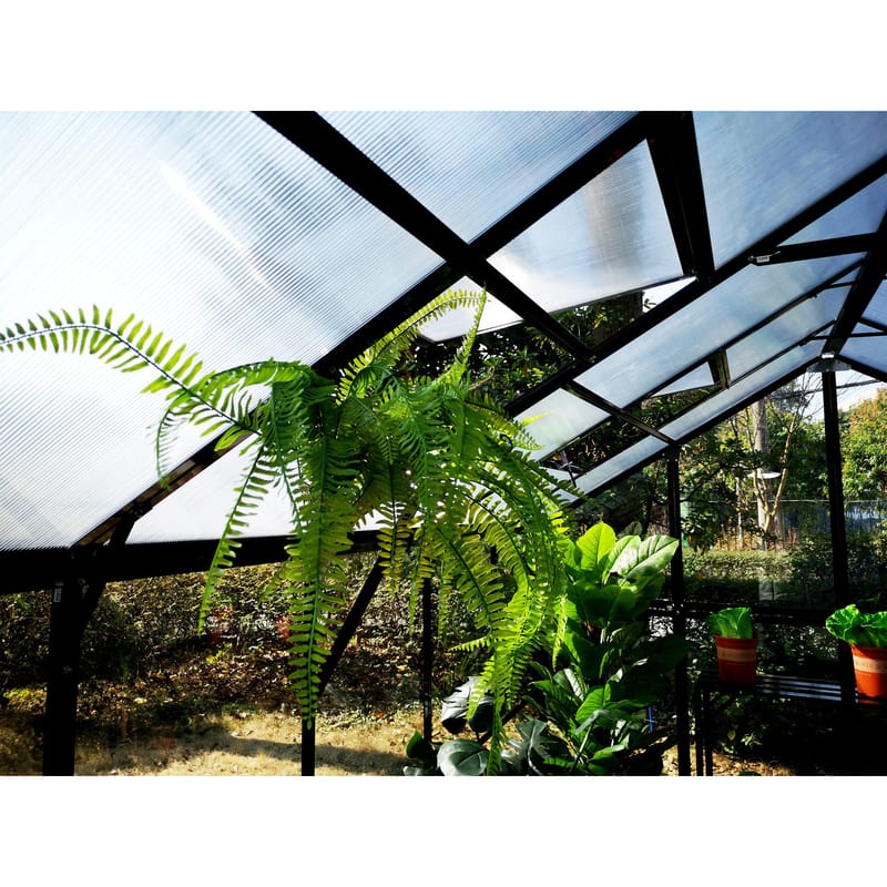 Växthus 14,4m² | 4mm säkerhetsglas | 5 års stormgaranti | Svart - Trädgård & spabad - Trädgårdsskötsel - Växthus