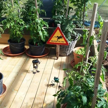 Växthus 18m² | Utökad odlingshöjd | Premium | 6mm kanalplast - Trädgård & spabad - Trädgårdsskötsel - Växthus