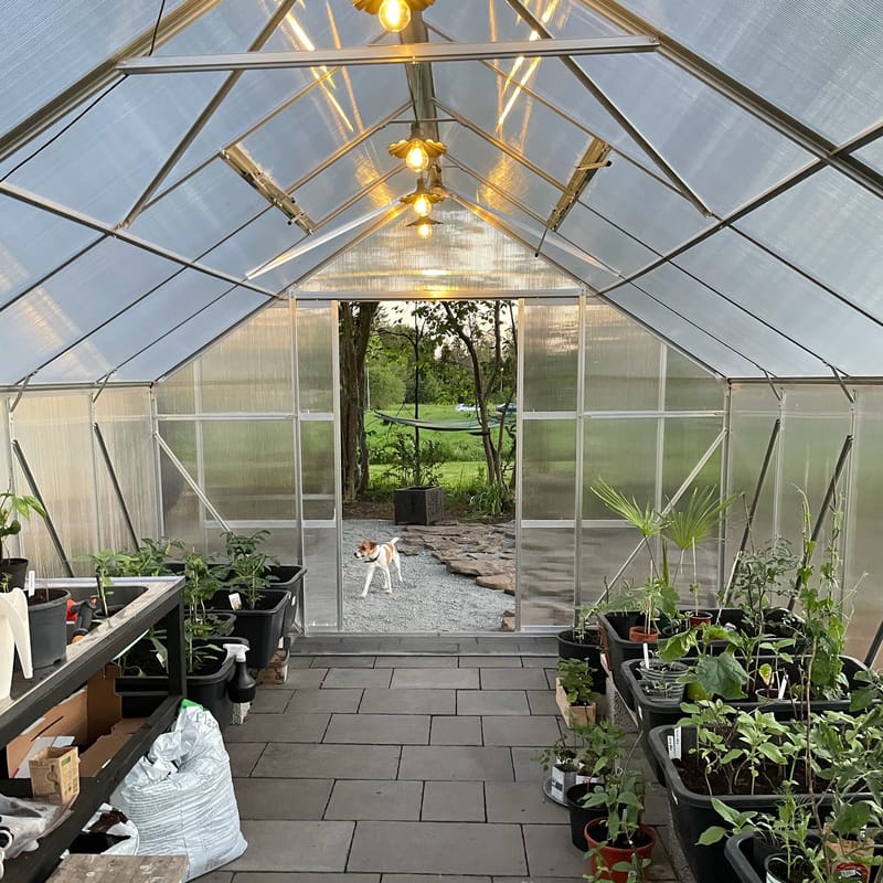 Växthus 18m² | Utökad odlingshöjd | Premium | 6mm kanalplast - Trädgård & spabad - Trädgårdsskötsel - Växthus