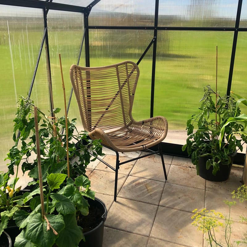 Växthus 18m² Premium | Extra hög odlingshöjd | 6mm kanalplast | Svart - Trädgård & spabad - Trädgårdsskötsel - Växthus