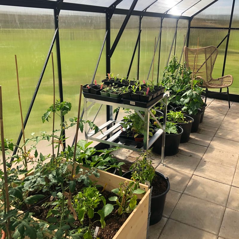 Växthus 18m² Premium | Extra hög odlingshöjd | 6mm kanalplast | Svart - Trädgård & spabad - Trädgårdsskötsel - Växthus