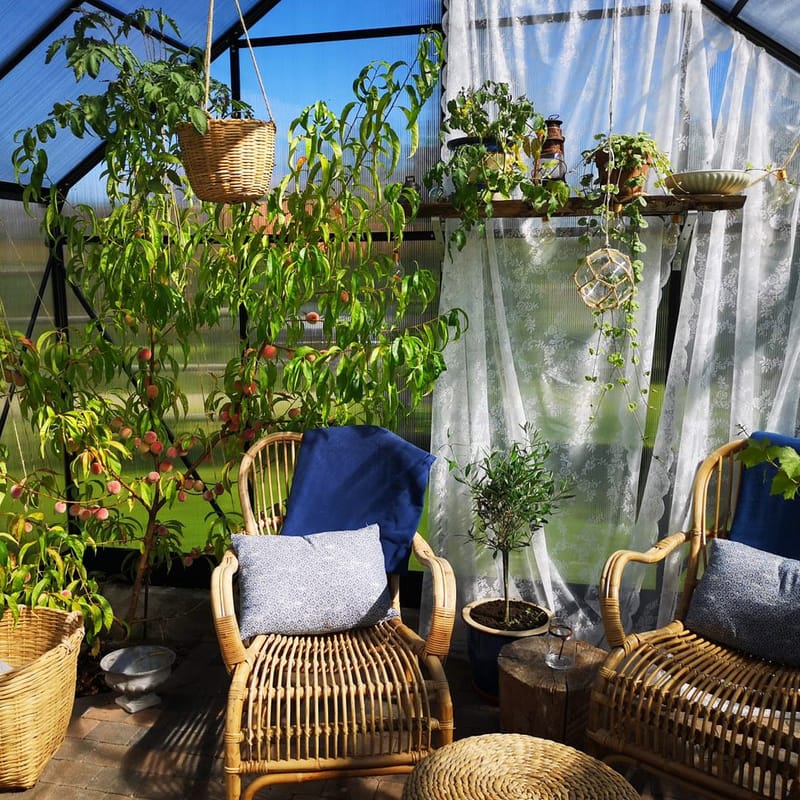 Växthus 18m² Premium | Extra hög odlingshöjd | 6mm kanalplast | Svart - Trädgård & spabad - Trädgårdsskötsel - Växthus