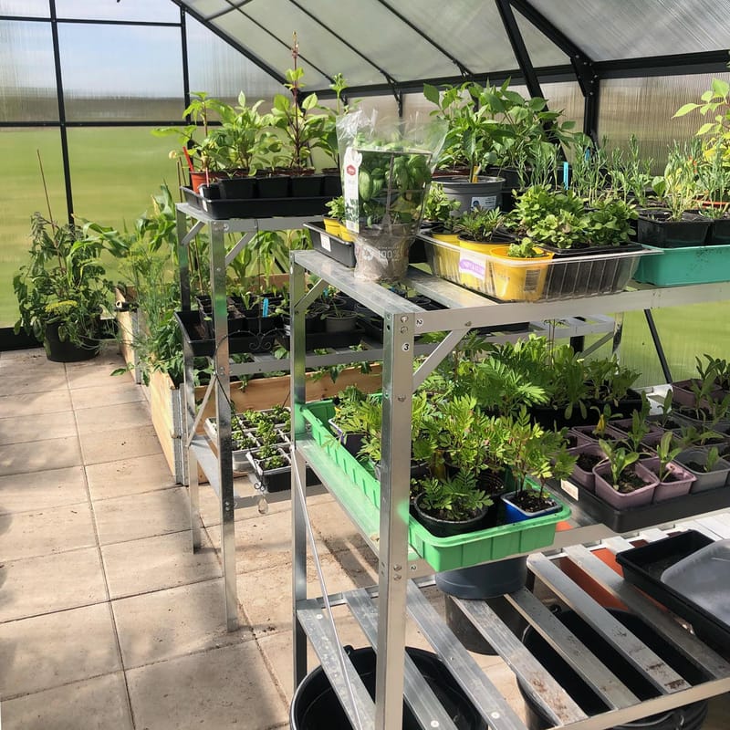 Växthus 18m² Premium | Extra hög odlingshöjd | 6mm kanalplast | Svart - Trädgård & spabad - Trädgårdsskötsel - Växthus