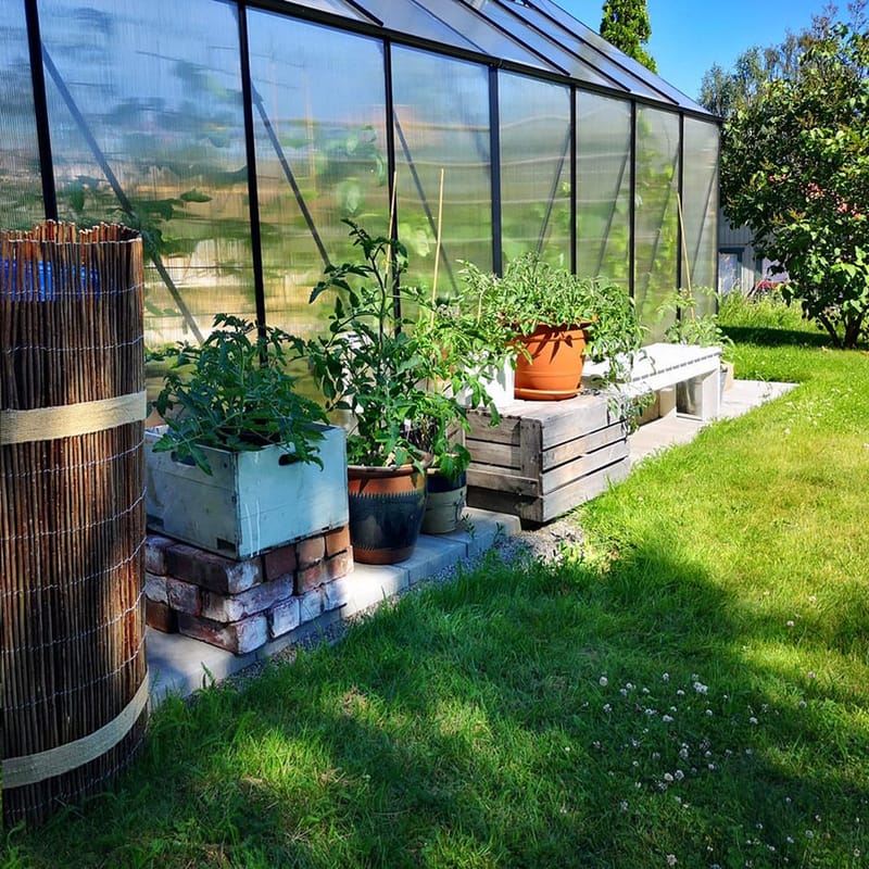 Växthus 18m² Premium | Extra hög odlingshöjd | 6mm kanalplast | Svart - Trädgård & spabad - Trädgårdsskötsel - Växthus