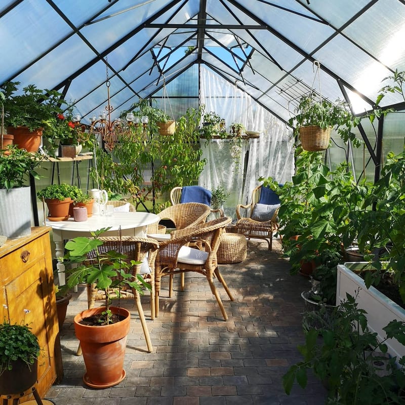 Växthus 18m² Premium | Extra hög odlingshöjd | 6mm kanalplast | Svart - Trädgård & spabad - Trädgårdsskötsel - Växthus