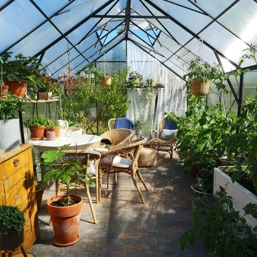 Växthus 18m² Premium | Extra hög odlingshöjd | 6mm kanalplast | Svart - Trädgård & spabad - Trädgårdsskötsel - Växthus