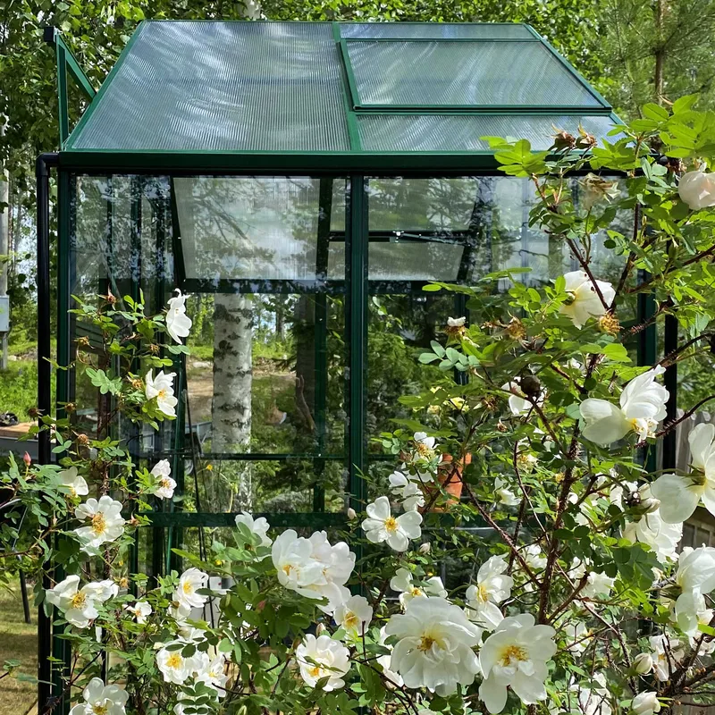 Växthus 3,3m² | 4mm säkerhetsglas | 5 års stormgaranti | Grön - Trädgård & spabad - Trädgårdsskötsel - Växthus