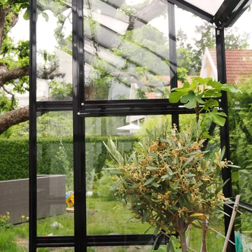 Växthus 6,4 m² | 4 mm säkerhetsglas | 5 års stormgaranti | Svart - Trädgård & spabad - Trädgårdsskötsel - Växthus