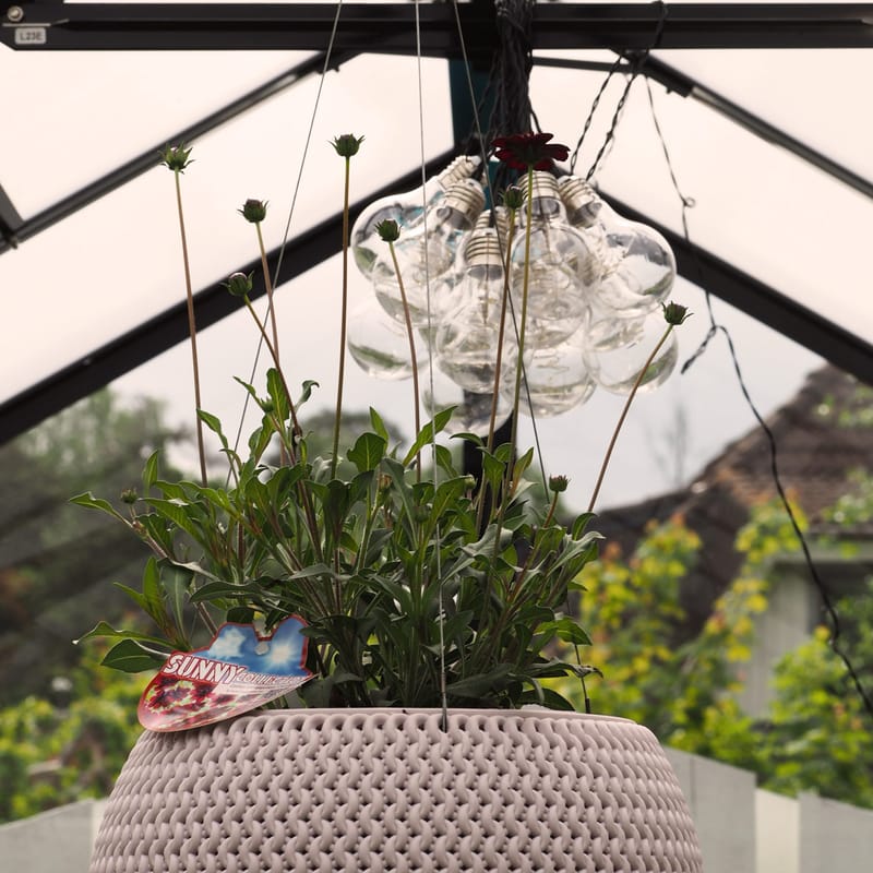 Växthus 6,4 m² | 4 mm säkerhetsglas | 5 års stormgaranti | Svart - Trädgård & spabad - Trädgårdsskötsel - Växthus