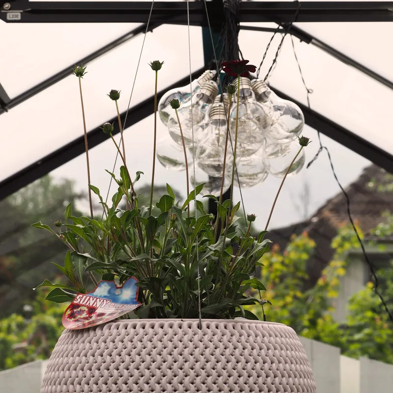 Växthus 6,4 m² | 4 mm säkerhetsglas | 5 års stormgaranti | Svart - Trädgård & spabad - Trädgårdsskötsel - Växthus